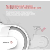 Yesoul BV1-B Plus BV1-W-21.5 Image #5