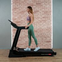 Svensson Body Labs Hustle Image #15