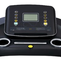 Royal Fitness RF-6 Image #5