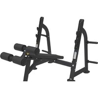 Bronze Gym BR-1013