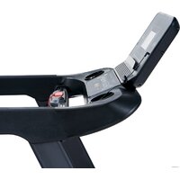 Proxima Gela Image #5