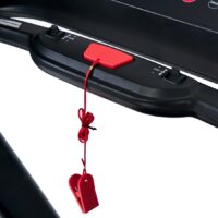 Proxima Gela Image #7