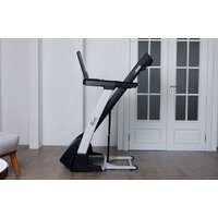 Orlauf Larus (серый) Image #4