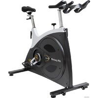 VictoryFit VF-GymRider 230