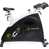 VictoryFit VF-GymRider 230 Image #2