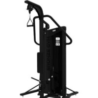 Bronze Gym Neo 86 Бицепс/Трицепс стоя