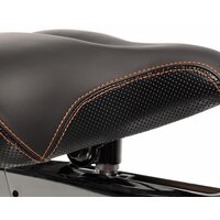 Octane Fitness AirdyneX Bike Image #7