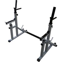 Central Sport стойка с подстраховкой (серый)