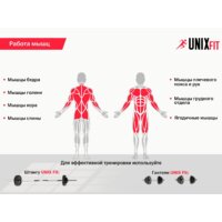 Unixfit Bench 120P Image #6