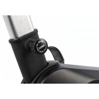 SOLE LCB 2019 Image #5