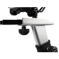 SOLE LCB 2019 Image #8