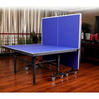 Central Sport Indoor Professional 25 мм (синий) Image #5