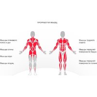 Unixfit Block Pro BSBLPRO Image #14