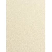 Alpin TMA-60 (cream) Image #10