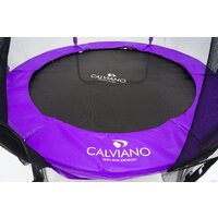 Calviano Outside Master Purple 183 см - 6ft (внешняя сетка, без лестницы) Image #5