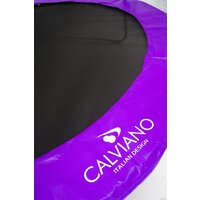 Calviano Inside Master Purple 374 см - 12ft (внутренняя сетка, с лестницей) Image #3