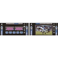 Spirit Fitness CE800ENT Image #6