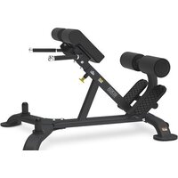 Bronze Gym BR-1010